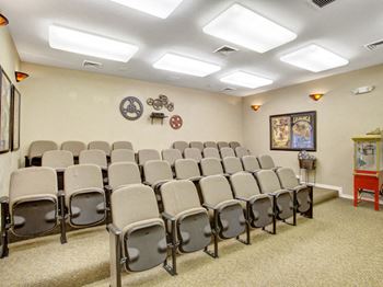 Theatre room/media center
